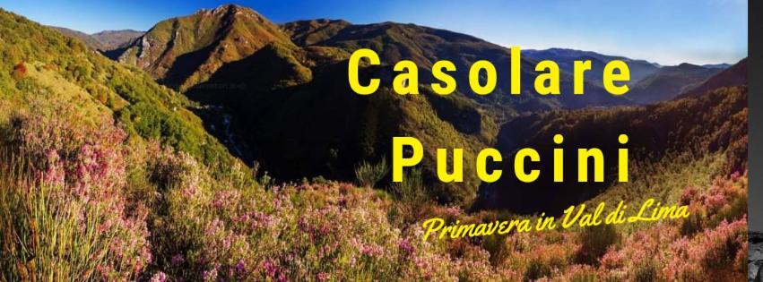 Apartamento Casolare Puccini Bagni di Lucca Exterior foto